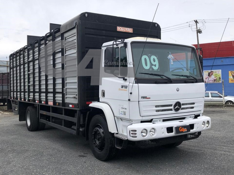 MB 1718 2009 Boiadeiro